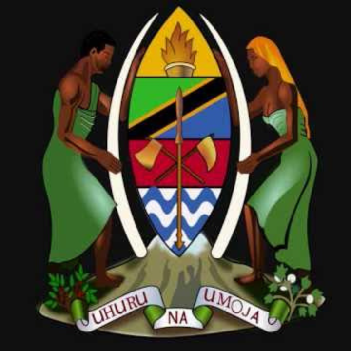 Government sector